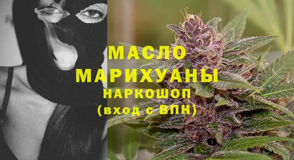 гашик Пересвет