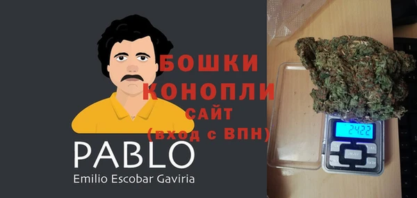 метадон Гусь-Хрустальный