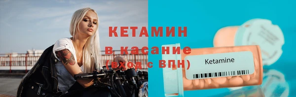 трава Гусиноозёрск