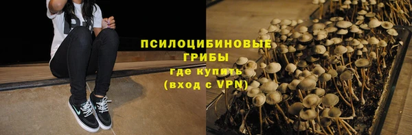 apvp Дмитровск