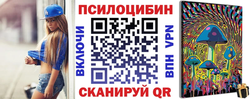 купить наркотики цена Оха mega как зайти Галлюциногенные грибы Psilocybine cubensis